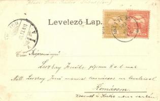 1903 Lábod, Keményítő gyár, Grófi kastély, Hermann kereskedése és vendéglője. Téli képek szecessziós...