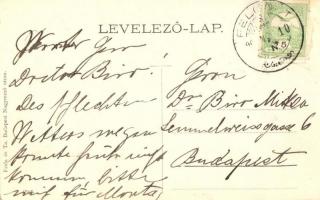 Felcsút, Fischof (Fischhof) kastély a hátsó résszel / castle, Art Nouveau