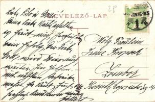 Marosvásárhely, Targu Mures; Tanácsház. W. L. Bp. 6422. / town hall (EK)