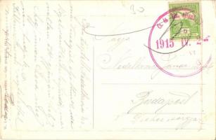 Mehádia, látkép. W. L. Bp. 1494.  / general view (EK)