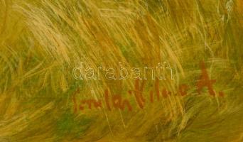 Somlai Vilma (1938-2007): Bokros táj, olaj, farost, jelzett, 25×32 cm