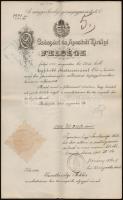 1903 Szentkirályi Miklós erzsébetvárosi aljegyző albírói kinevezése Dr. Plósz Sándor (1846-1925) az első Tisza István-kormány igazságügy-miniszterének aláírásával, a minisztérium díszes fejléces papírján, pecséttel, szárazpecséttel