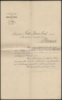 1914 Kinevezési okmány Harkányi János kereskedelemügyi miniszter saját kezű aláírásával