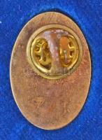 2000- . "Kossuth-díj" aranyozott kitűző, eredeti tokban (17x25mm) + a Kossuth-díj nem adom...