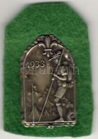 1933. Jamboree jelvény / Abzeichen