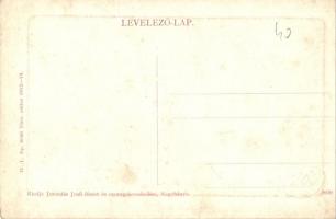 Nagybánya, Baia Mare; látkép, templomok. W. L. Bp. 6046. Kiadja Jeremiás Jenő / general view, church...