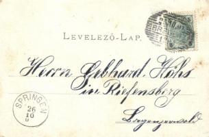 Budapest XVI. Rákosszentmihály, Fürdő vendéglő, Lóvonat, lóvasút. Divald Károly 194. (EK)