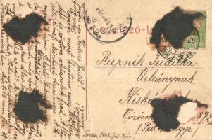 Tordai hasadék, Cheia Truzii; No. 442. (fa)