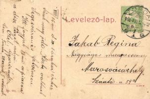 Tordai hasadék, Cheia Truzii; No. 444. (fa)