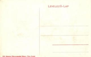 Budapest XII. Zugliget, Téli sport szánkózókkal / winter sport, sledding  (EK)