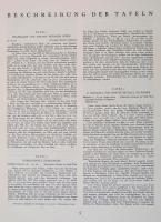 Rudolf Payer-Thurn, Hermann Reuther: Grillparzer im Bilde. Wien, 1930. Bibliophilen-Gesellschaft., 1...