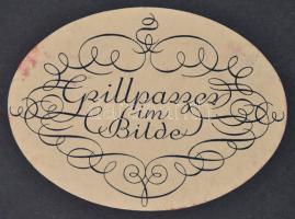 Rudolf Payer-Thurn, Hermann Reuther: Grillparzer im Bilde. Wien, 1930. Bibliophilen-Gesellschaft., 1...