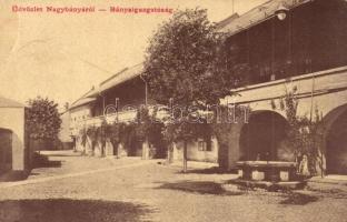 1910 Nagybánya, Baia Mare; Bányaigazgatóság. W.L. 2362. / mine directorate  (EK)