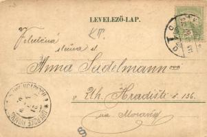 1902 Komárom, Komorn, Komárnó; Darányi liget. Czike Dénes kiadása, virágos keret / park. Floral (EK)