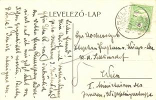 1913 Zselíz, Zeliezovce, Zelis; Gróf Breunner kastély / Schloss / castle. photo