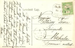 Kovászna-fürdő, Covasna; villasor. Moskovitz Márton kiadása / villa alley