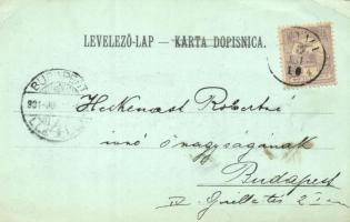 1901 Novi Vinodolski, Novoga; Kula Frankopanska, Hotel Slavulj i Lisanj, Kupaliste / tower, hotels, ...