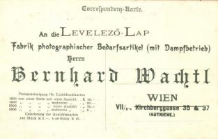 Bodzakraszna, Krászna-gyártelep, Crasna; Anton di Dimitriu fűrésztelepe. Hátoldalon Bernhard Wachtl ...