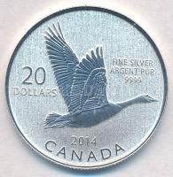 Kanada 2014. 20$ Ag Kanadai lúd tanúsítvánnyal T:BU Canada 2014. 20 Dollars Ag Canada Goose with certificate C:BU