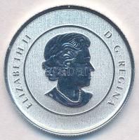 Kanada 2014. 20$ Ag "Kanadai lúd" tanúsítvánnyal T:BU
Canada 2014. 20 Dollars Ag "Ca...