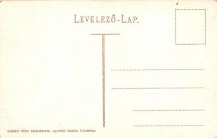 Újvidék, Novi Sad, Neusatz; Andrássy utca, Állami polgári leányiskola tanítványokkal. Schäffer Péter...