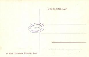 Igló, Iglau, Spisská Nová Ves; Kühbächer Sándor szalonna, zsír és hús kereskedő üzlete. Kossuth Lajo...