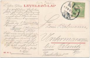1908 Arad, Atzél Péter utca, Központi Divatáruház, Erdős és óra-ékszer üzlet. W.L. 494. / street vie...