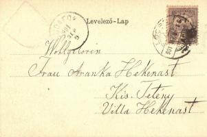 1901 Lőcse, Leutscha, Levoca; Városháza. Címeres litho keret. Latzin János kiadása / Stadthaus / tow...