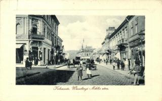 Kolozsvár, Cluj; Wesselényi Miklós utca, Pannónia szálloda, Hirsch Adolf üzlete. W.L. Bp. 6391. 1910 / street view with shops and hotel (EK)
