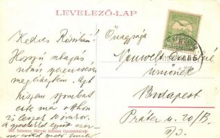 1910 Gyulafehérvár, Karlsburg, Alba Iulia; Villanytelep. Salamon Mátyás kiadása / power station (EK)