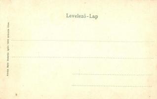 Igló, Iglau, Spisská Nová Ves; Honvéd síremlék. Magyar zászlós litho keret. Kiadja Matz Gusztáv 1902...