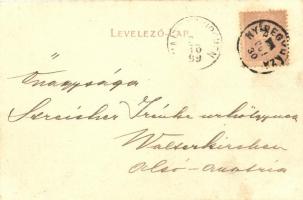 1899 Nyíregyháza, Korona szálloda, talyigás. Ferenczi József kiadása. Art Nouveau, floral