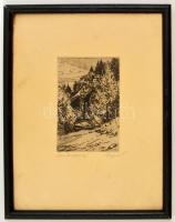 Olvashatatlan jelzéssel:Turistaház a domboldalon. Rézkarc, papír, keretben, 14×9,5 cm