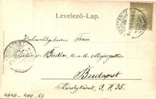 1905 Beszterce, Bistritz, Bistrita; Jégpálya korcsolyázókkal télen / Eissportplatz / ice skating rin...