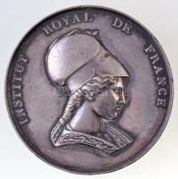 Franciaország ~1831-1841. Institute Royal de France / P. L. E. Rossi (Francia Királyi Intézet / P. L. E. Rossi) jelzetlen Ag emlékérem. Szign.: DUMAREST F. (65,42g/50mm) T:2 patina, ph. / France ~1831-1841. Institute Royal de France / P. L. E. Rossi (Royal Institute of France / P. L. E. Rossi) Ag commemorative medal without silver mark. Sign.: DUMAREST F. (65,42g/50mm) C:XF patina, edge error