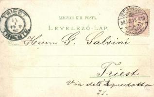 1898 Sopron, Gróf Széchenyi István szobor, Várkerület, Domonkos templom, hölgy szőlőfürtökkel. Regel...