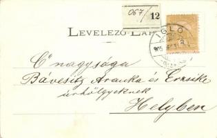 1905 Igló, Iglau, Spisská Nová Ves; Danielisz Lajos vegyeskereskedése / Geschäft / shop  (EK)