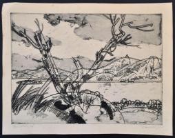 Raszler Károly (1925-2005): Dunakanyar, rézkarc, papír, jelzett, 29×39 cm