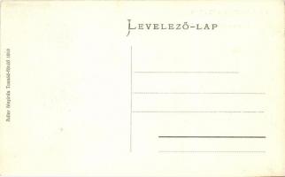 Málnásfürdő, Malnas-Bai; Zene-csarnok, Fenyőfa-sor. Adler fényirda 1910  / music pavilion, pine alle...