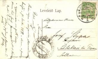 1908 Komárom, Komárnó; Nádor utca, Székelyi Károly és Spitzer Sándor üzlete. Kiadja Freisinger Mór /...