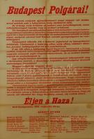 1915 Felhívás tüntetésre Olaszország hadbalépése ellen hirdetmény 65x90cm