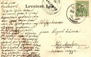 1908 Lupény, Lupeni, Schylwolfsbach; A sodronypálya végállomása, csoportkép. Adler fényirda / indust...