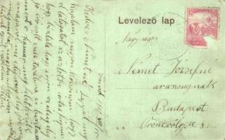 1910 Facset, Facsád, Faget; Hirschl Dávid és fia iroda és sörcsarnok / shop and beer hall (EK)