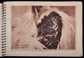 cca 1910-1930 Budapest, Tabán fotó és újságkivágás gyűjtemény, 44 db korabeli fotóval, 24 db korabel...