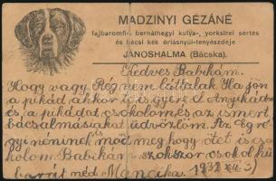 1932 Jánoshalma, Madzinyi Gézáné fajbaromfi-, bernáthegyi kutya-, yorksirei sertés és bécsi kék óriásnyúl tenyészdéje fejléces levelezőlap, törésnyommal középen