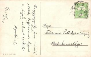 1912 Sledding Dachshund dogs in winter. T.S.N. Serie 1195. s: Arthur Thiele