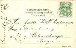 1909 J. Serravallo Farmacia Chinese wine advertisement art postcard. Trieste Barcola