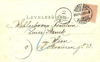 1900 Budapest I. Várbazár. Kunstanstalt Rosenblatt 3978. floral, litho