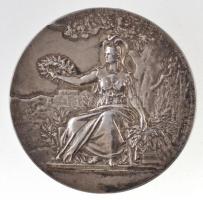 Franciaország DN "École de Cordonnerie de Paris - A. Holczer (Párizsi Cipész Iskola - A. Holczer)" peremén jelzett Ag emlékérem (44,72g/51mm) T:2- patina, karc / France ND "École de Cordonnerie de Paris - A. Holczer (Shoemaker School of Paris - A. Holczer)" Ag commemorative medal, marked on edge (44,72g/51mm)  C:VF patina, scratched