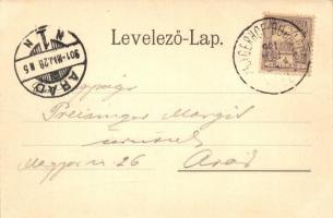 1901 Budapest XXII. Budafok, Kilátás a Macska csárdáról. Ifj. Simon József kiadása